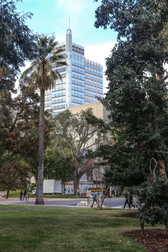 Tall skyscraper visible through the trees in the park's landscape