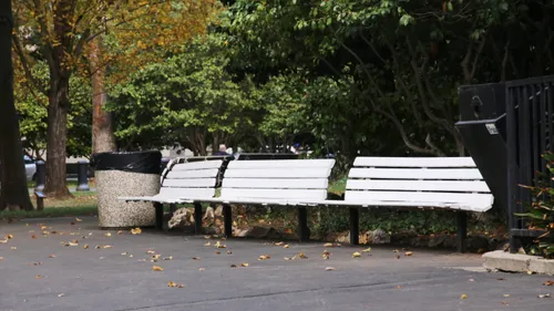 White park benches provide seating