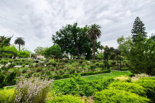 Garden plantings showcase diverse greenery