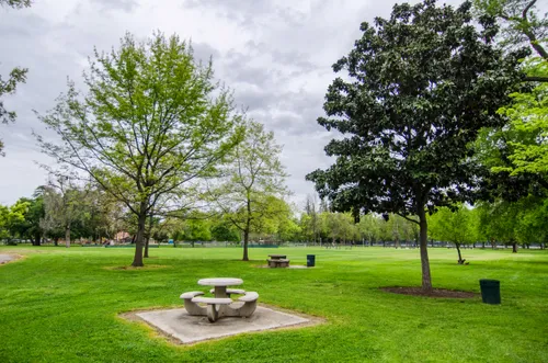 Peaceful green space with tables nestled among shade trees