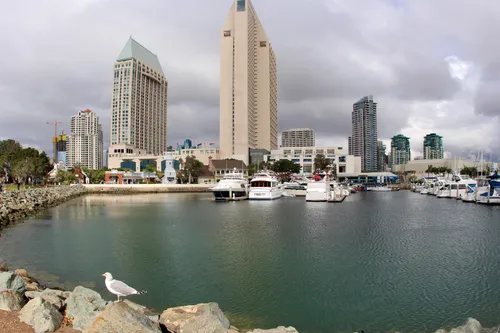 The marina viewed from the park's rocky shore