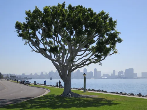 A walking path runs along the entire length of the park