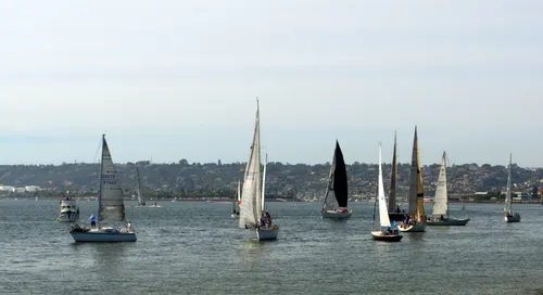 Sailboats glide across North San Diego Bay