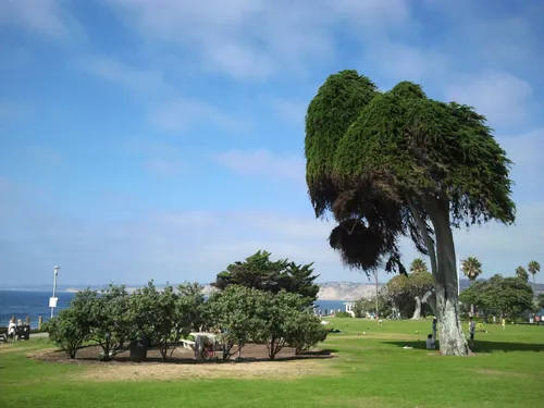 The park has a large open green field with bushes and trees
