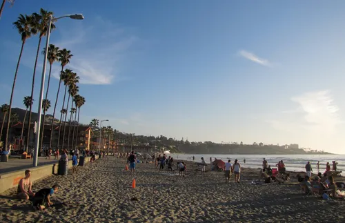 Palm-lined beachfront next to the park at sunset