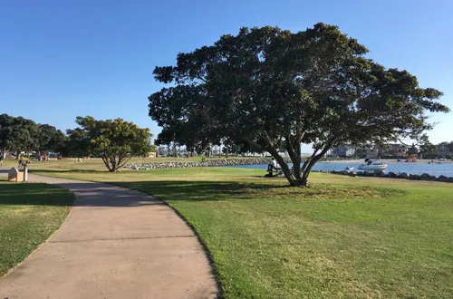 Large trees are scattered along the pathway