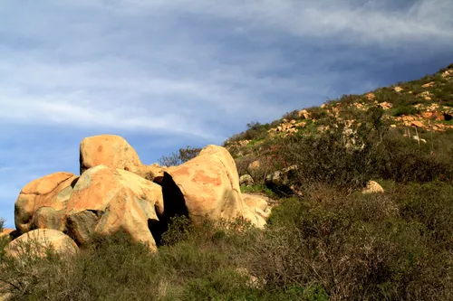 Sun-warmed boulders scattered among native brush vegetation