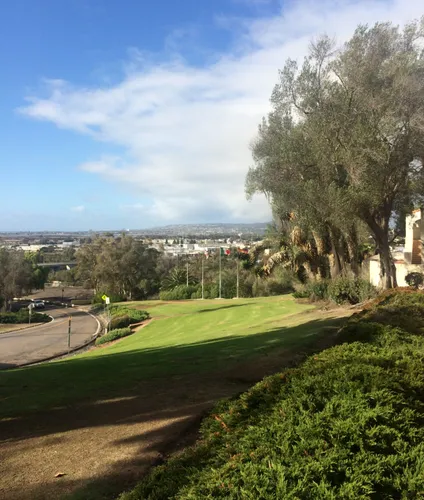 Grassy hill overlooking the surrounding urban landscape