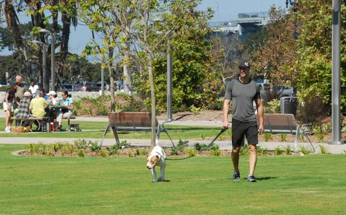A visitor enjoys the park with his dog on a sunny day
