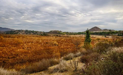 Battle Mountain is visible beyond the golden brush of San Dieguito River Park looking south