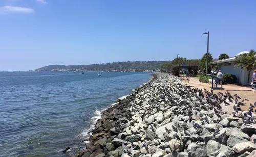 Rocky seawall protects the coastline with bay waters in view