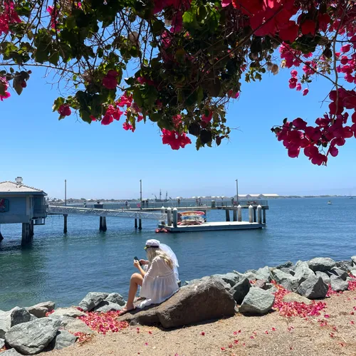 Looking out onto Shelter Island Pier