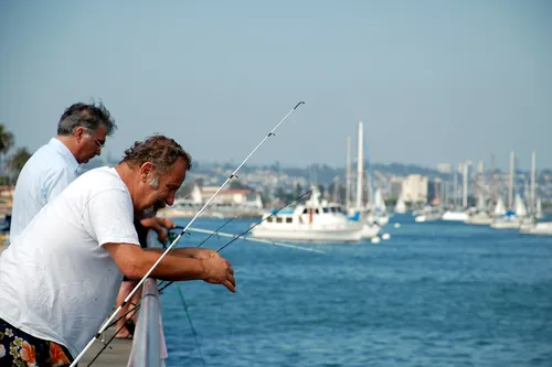 Fishing enthusiasts trying their luck from the waterfront