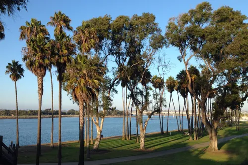 Palm trees and eucalyptus line the waterfront