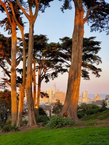 Overlooking San Francisco to the east