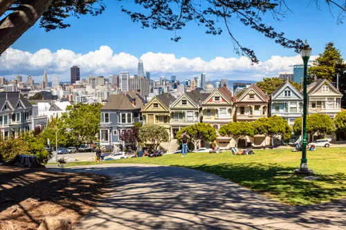 Shaded path overlooking the Painted Ladies with the city beyond