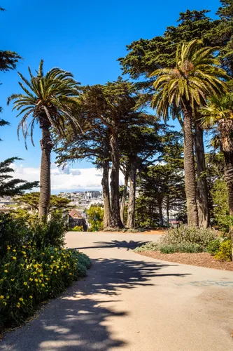 Walkway in the park on a sunny day