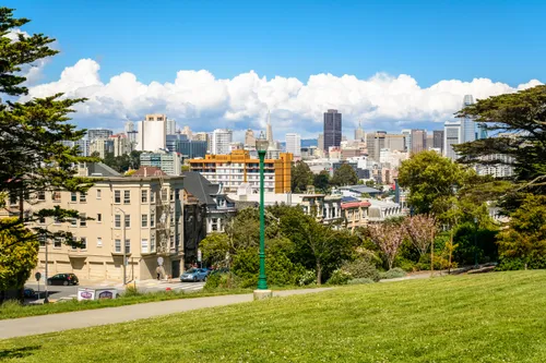 Grassy hillside offering panoramic views of San Francisco's skyline