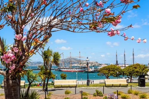 Spring vegetation frames the view toward Hyde Street Pier