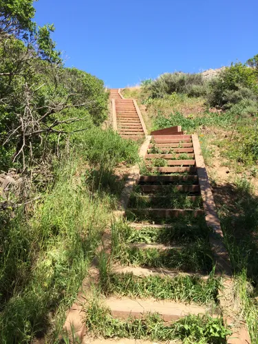 Wooden stairs leading up the hillside trail