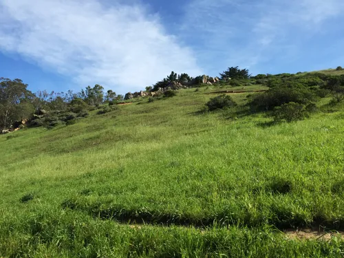 Rolling green hills under blue skies within the park