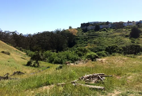 Natural meadow area with rocky outcroppings