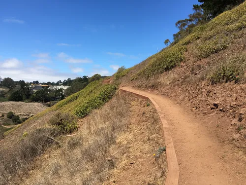 Curved dirt path following the natural hillside contour