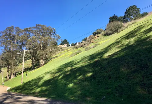 Walking path cutting across sun-drenched grassy hillside
