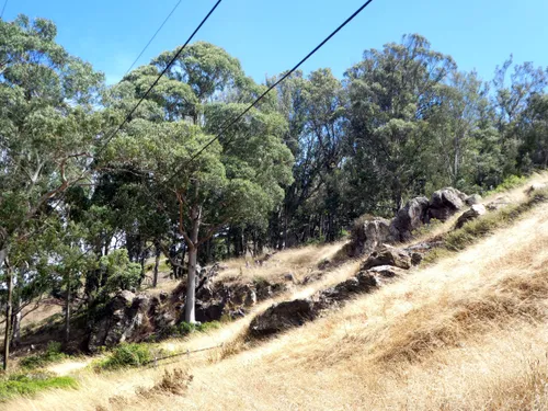 Steep hill with tall grass on a sunny day