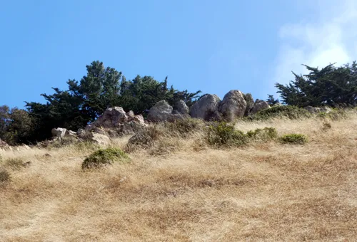 Boulders and dry grass against the blue sky