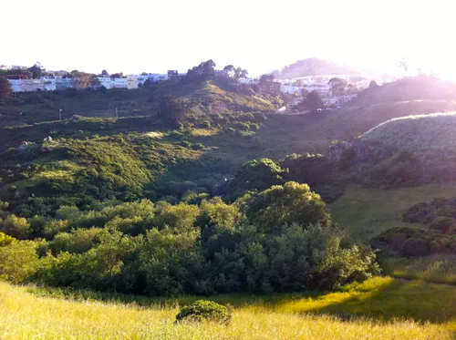 Stunning valley view with mountains and greenery in foreground