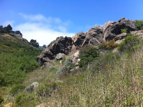 Rocky outcropping emerging from tall grasses on hillside
