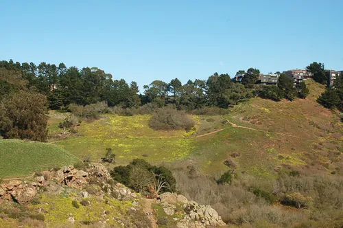 Rolling hills with oak trees dotting the landscape