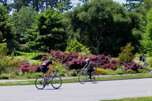 Cyclists riding through the park