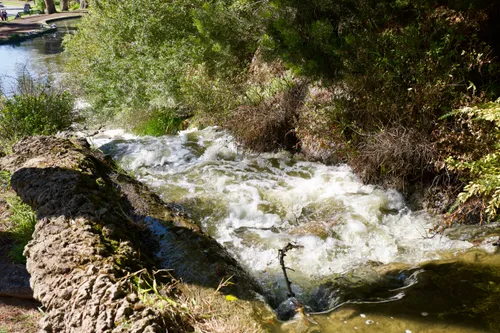 Rushing water cascades over rocks