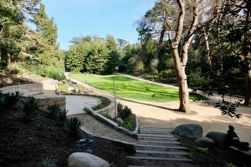 Shaded pathways in a quiet section of Golden Gate Park
