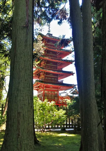 Japanese Tea Garden's iconic five-story pagoda among trees