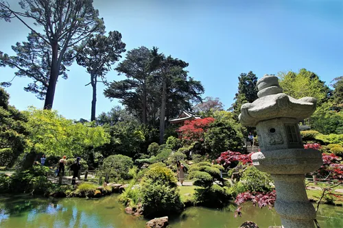 Stone lantern beside tranquil pond in Japanese Tea Garden
