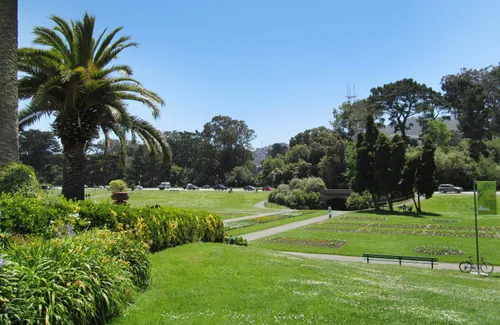 Expansive lawn area in the park's northeast section
