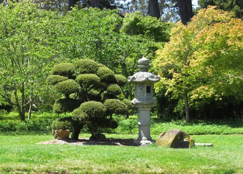Lush garden plantings
