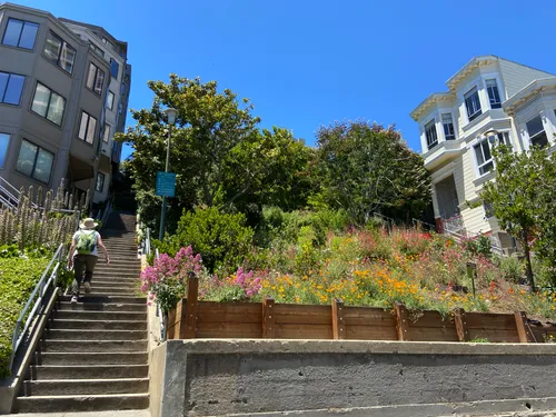 A woman climbs the steep stairways that flank the hillside park