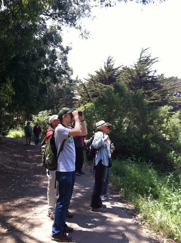 Visitors with binoculars exploring the trail surrounded by trees