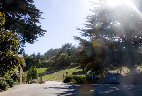 Sunlit pathway leading through the park's wooded area