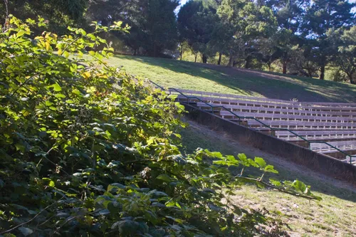 Terraced seating at Jerry Garcia Amphitheater visible through foliage