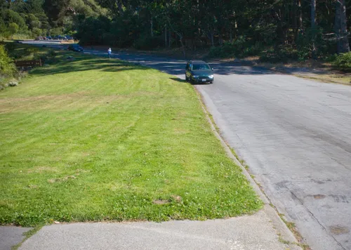 Grassy area alongside John F Shelley Drive on a sunny day