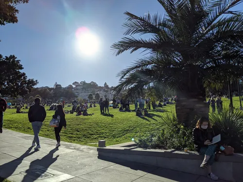 Sunny walkway with palm trees at the east entrance to the park
