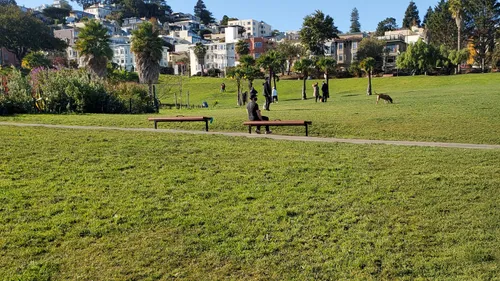 Open green lawn area with surrounding buildings visible in background