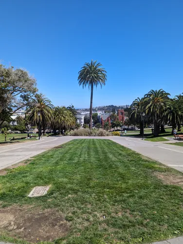 Wide palm-bordered pathways cutting through the park