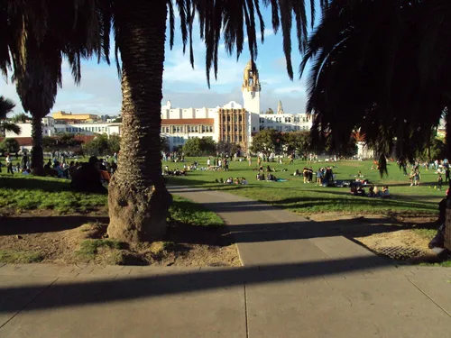 View through palm fronds toward the park's open spaces