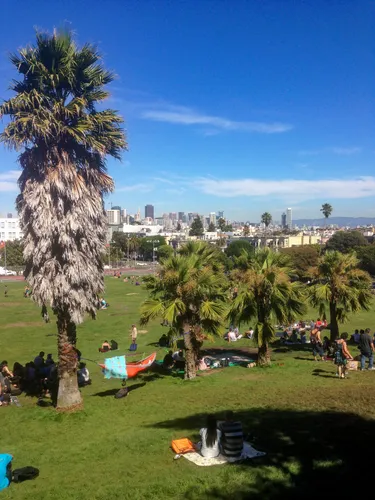 Palm trees frame the city vista from the park's overlook